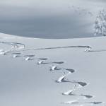 Verschillende doelen-voor een overlijdensrisicoverzekering of een levensverzekering